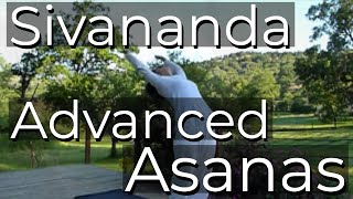 Sivananda Advanced Asana Cycles  Headstand Shoulderstand Forward bending backbending and more [upl. by Latrina]