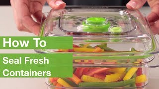 How To Seal Fresh Containers  FoodSaver® [upl. by Resarf660]