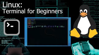 Kali Linux Terminal  Command Line for Beginners Tutorial [upl. by Oliy406]