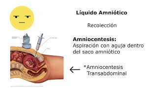 Introducción al Líquido Amniótico [upl. by Ardnosak335]