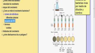 crecimiento bacteriano [upl. by Derinna]