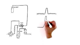 An Introduction to Ion Chromatography [upl. by Waldron]