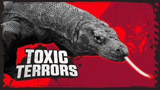 Komodo Dragon Vs Black Widow  Deadly Animal Showdowns  BBC Earth Kids [upl. by Ariamo]