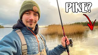 Exploring NEW PIKE SPOTS From the Shore 5 Tips  Team Galant [upl. by Suzy]