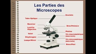 Microscope optique  biologie cellulaire [upl. by Hoo]