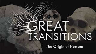 Great Transitions The Origin of Humans — HHMI BioInteractive Video [upl. by Ahseekal]