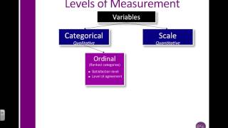 SPSS Understand Ordinal Nominal amp Scale aka Level of measurment [upl. by Yejus40]