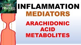 INFLAMMATION Part 5 Chemical Mediators ARACHIDONIC ACID METABOLITES [upl. by Atekihs]