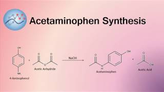 Acetaminophen Synthesis Mechanism  Organic Chemistry [upl. by Lednor]