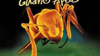 Guano Apes Open Your Eyes Wlyrics [upl. by Aserret]