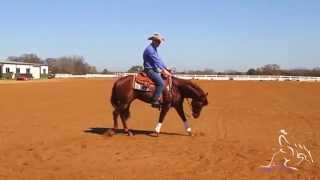 Reining Training  Fundamentals to Reining [upl. by Doralynn]