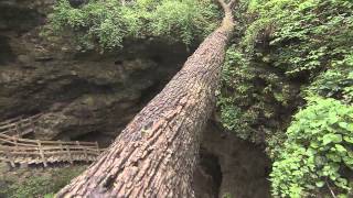 Maquoketa Caves State Park Jackson County Iowa [upl. by Gilberto]