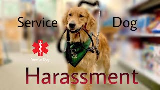 Service Dog Harassment Compilation [upl. by Nlyak]