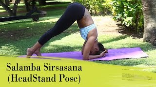 Yoga Asana  Salamba Sirsasana Head Stand Pose  Strengthens Lungs and Abdomen [upl. by Aika]