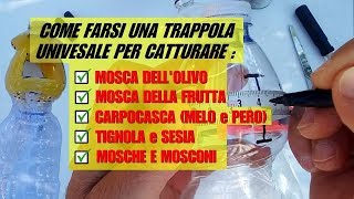 TRAPPOLA UNIVERSALE PER INSETTI DELLA FRUTTA [upl. by Hairu]