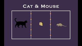 Cat amp Mouse Game [upl. by Eissac]