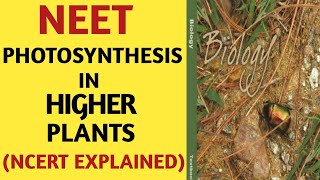 PhotosynthesisClass 11NCERTQuick Revision SeriesNEETAIIMSJipmer2019By Beats For Biology [upl. by Gregrory]