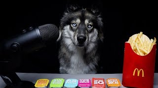 ASMR Dog Reviews McDonalds Sauces [upl. by Ainaznat]