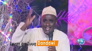 DANDAWI 2021 QASAID CUSUB MEDED OFFICIAL VIDEO [upl. by Zeph979]