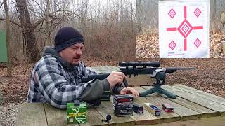 Mossberg 802 Plinkster Shooting amp Review [upl. by Goldfarb]