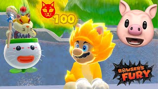 BOWSERS FURY SECRET ENDING ALL 100 Cat Shines [upl. by Ynnek803]