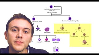 Chronic Myeloid Leukemia Approaches to Optimizing Care in the Era of TKIs [upl. by Lyndsay]