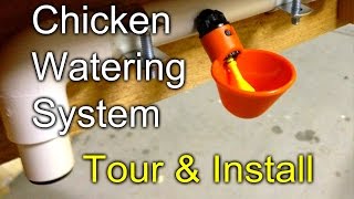 Chicken Watering Tour and Install of my gravity fed system [upl. by Eniac]