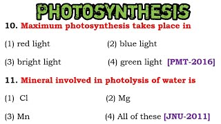 Plant Physiology MCQ  Photosynthesis Biology MCQs [upl. by Umont]