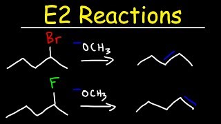 E2 Reaction Mechanism  Hoffman Elimination vs Zaitsevs Rule [upl. by Caesaria]