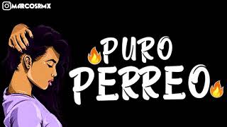 PURO PERREO 9🔥 BRASILERO 2019 MARCOS RMX [upl. by Ecnaralc]