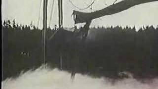 Tacoma Narrows Bridge Disaster [upl. by Aivan]