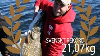 Svenskt rekord på gädda  2107 kg [upl. by Crocker]