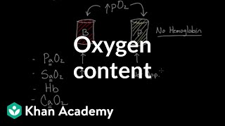 Oxygen content  Human anatomy and physiology  Health amp Medicine  Khan Academy [upl. by Orlando]