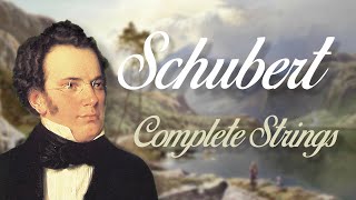 Schubert Complete String Quartets [upl. by Pomona]