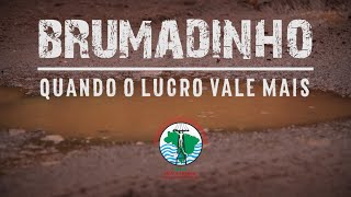 Brumadinho Quando o Lucro Vale Mais [upl. by Stromberg108]