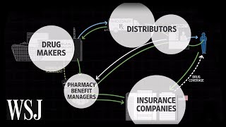 How Drug Prices Work  WSJ [upl. by Vinaya945]