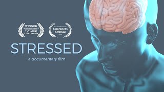 Stressed  A Documentary Film  4K OFFICIAL [upl. by Solitta434]