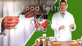 Food Tests  GCSE Science Required Practical [upl. by Nomed928]