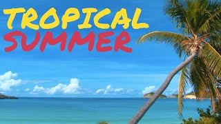 Tropical Summer Upbeat Background Music 1 Hour [upl. by Yrogerg533]