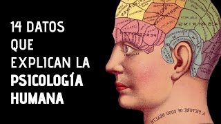 14 Curiosidades Sobre La Psicología [upl. by Tirrag]