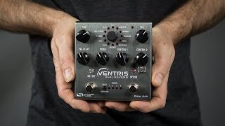 Source Audio Ventris Dual Reverb Demo Ambient Guitar Gear Review [upl. by Irolav]