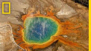 Five MustSee Attractions in Yellowstone  National Geographic [upl. by Jermyn]