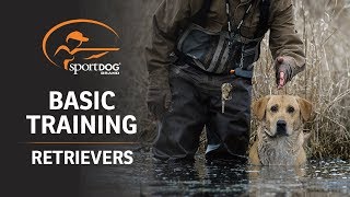 Basic Training  Retrievers [upl. by Esahc]