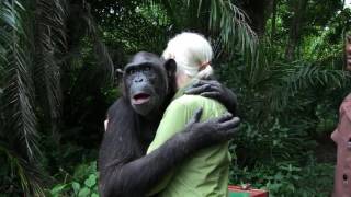 Jane Goodall Releases Chimp [upl. by Atwater]