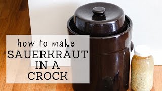 Sauerkraut Crock Recipe  HOW TO MAKE SAUERKRAUT IN A CROCK  Bumblebee Apothecary [upl. by Herc]