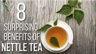 8 Surprising Benefits Of Nettle Tea  Organic Facts [upl. by Newbill]