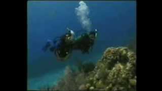 Buceo CursoCapitulo 1 [upl. by Arretahs]