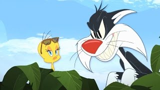 Tweety amp Sylvester  quotYellow Birdquot Song HD [upl. by Ahsiuq]