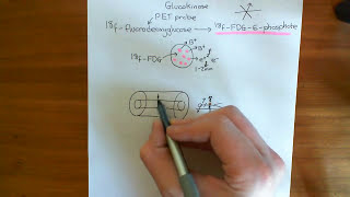 Positron Emission Tomography PET Part 3 [upl. by Dreddy]