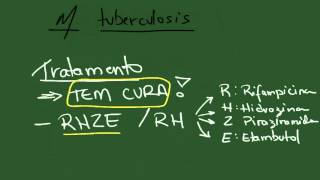 Mycobacterium tuberculosis e leprae  Resumo  Microbiologia [upl. by Tessi500]